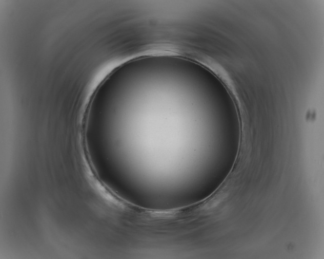 X0000092261488200709281154