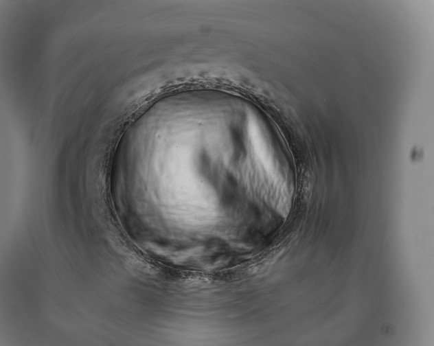 X0000092261489200709281153