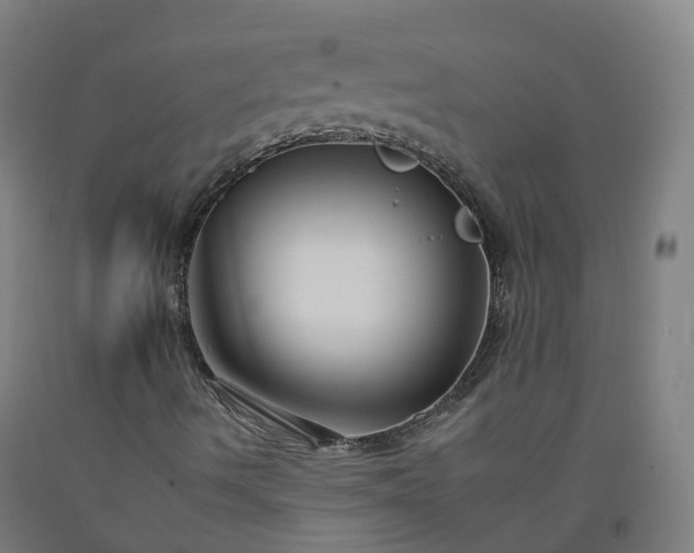 X0000092261490200709281153