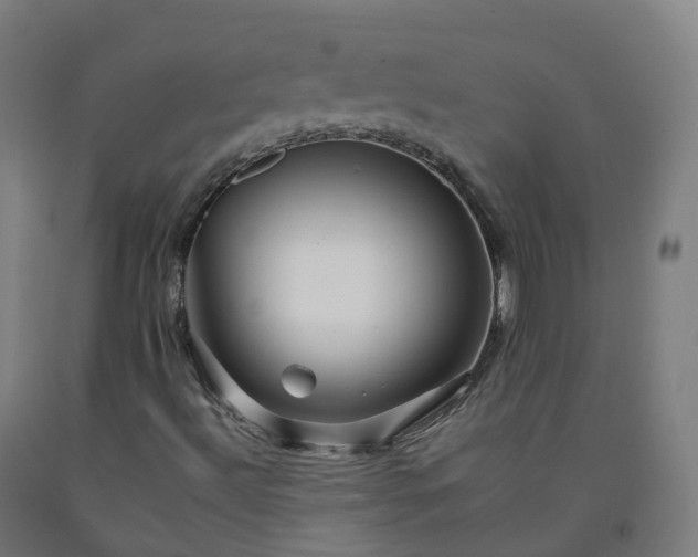 X0000092261492200709281153