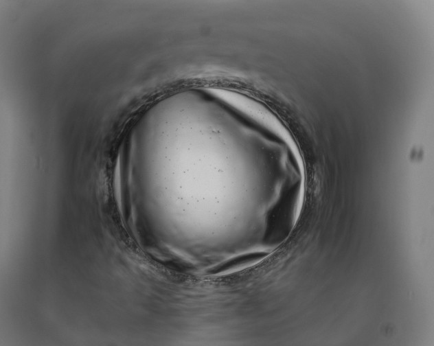 X0000092261493200709281153