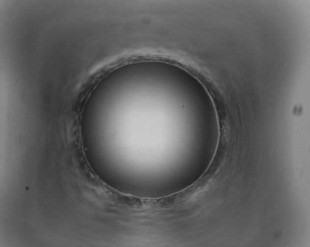 X0000092261494200709281153