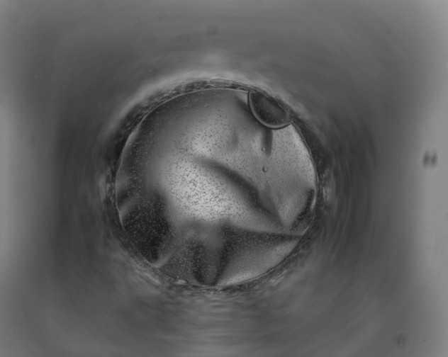 X0000092261495200709281153