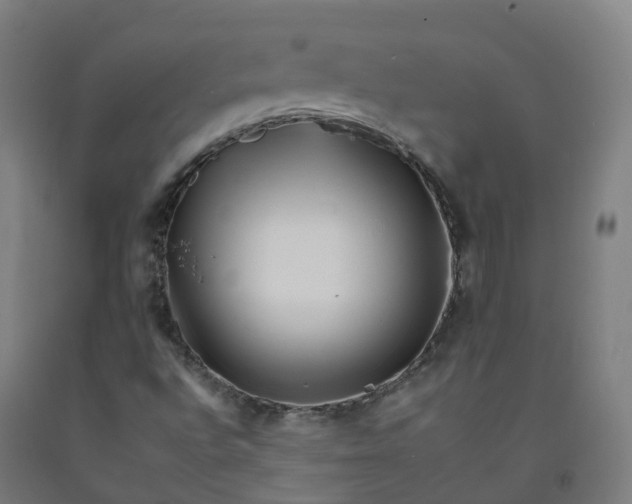 X0000092261496200709281153