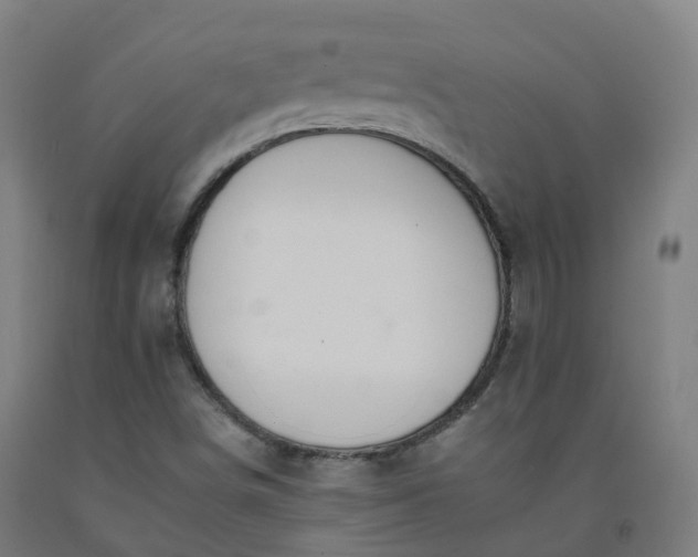 X0000092261498200709281153