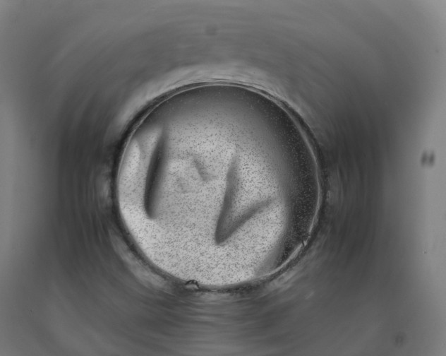 X0000092261499200709281153