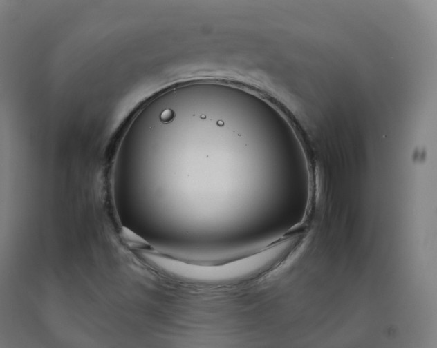 X0000092261501200709281153