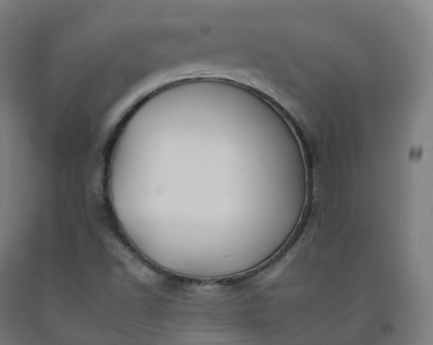 X0000092261502200709281153