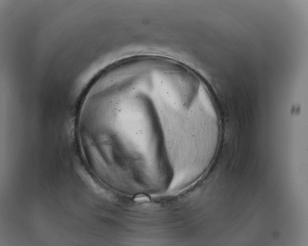 X0000092261503200709281153