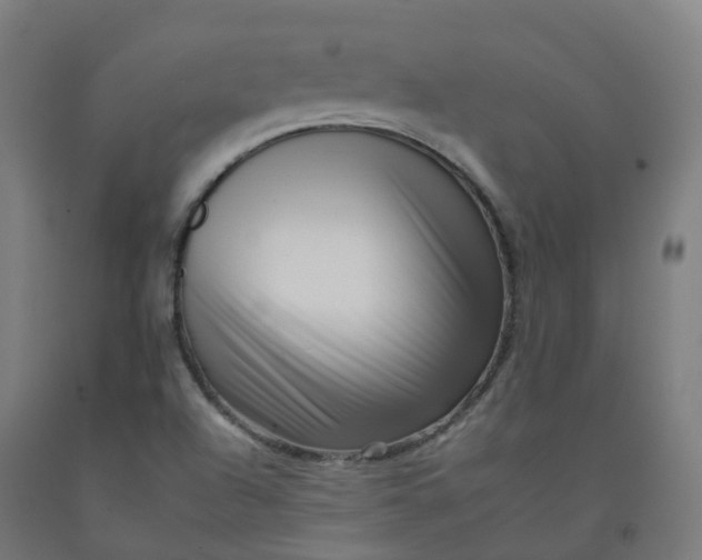 X0000092261504200709281154