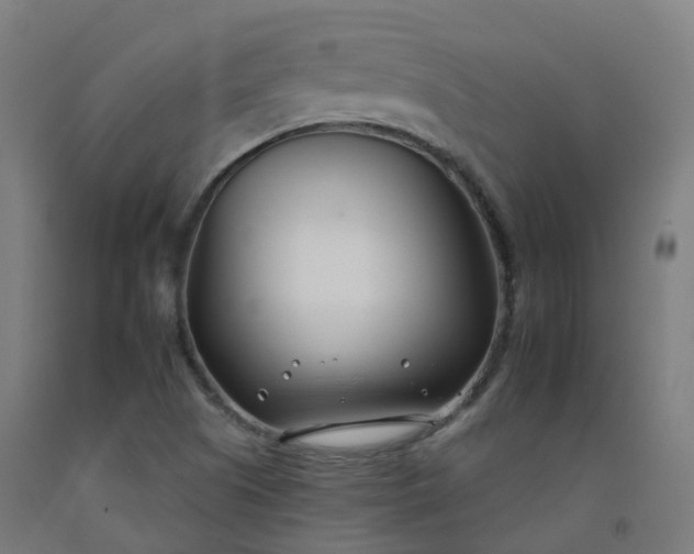 X0000092261505200709281154