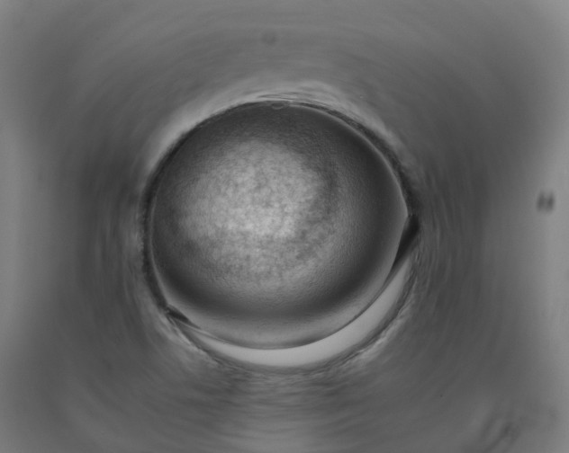 X0000092261506200709281154