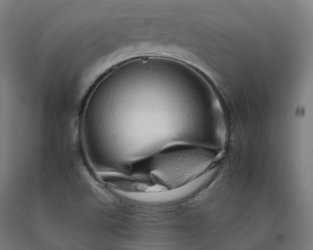 X0000092261507200709281154