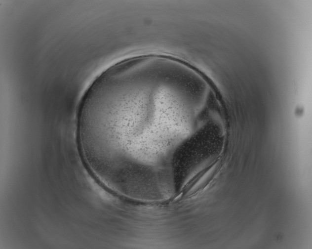 X0000092261508200709281154