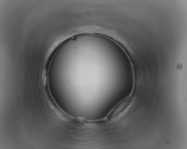 X0000092261509200709281154