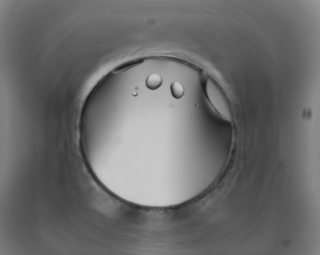 X0000092261512200709281154