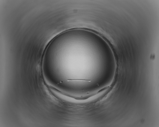 X0000092261513200709281154