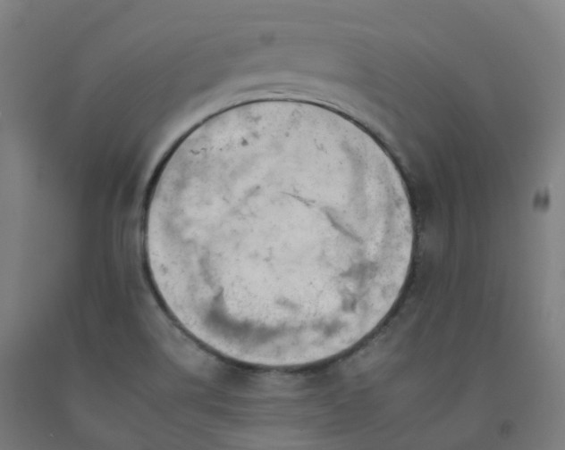 X0000092261514200709281154