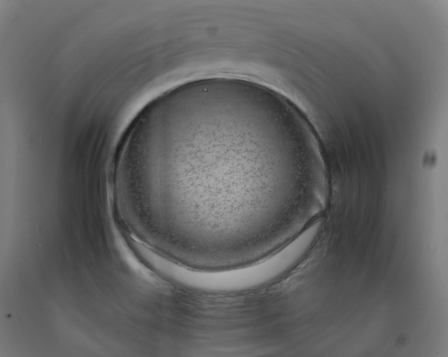 X0000092261515200709281154