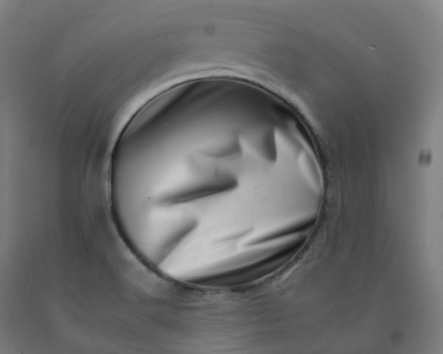 X0000092261516200709281154