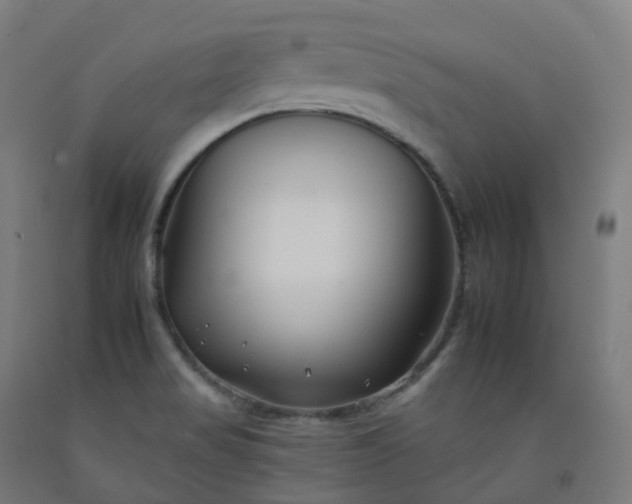 X0000092261517200709281154