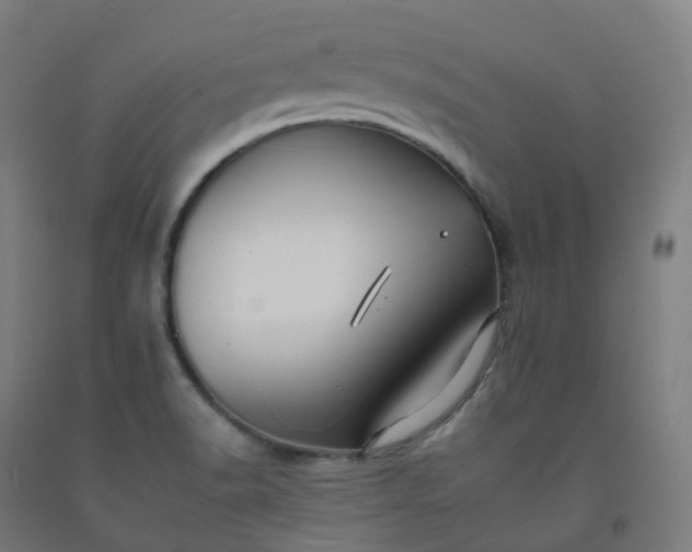 X0000092261518200709281154