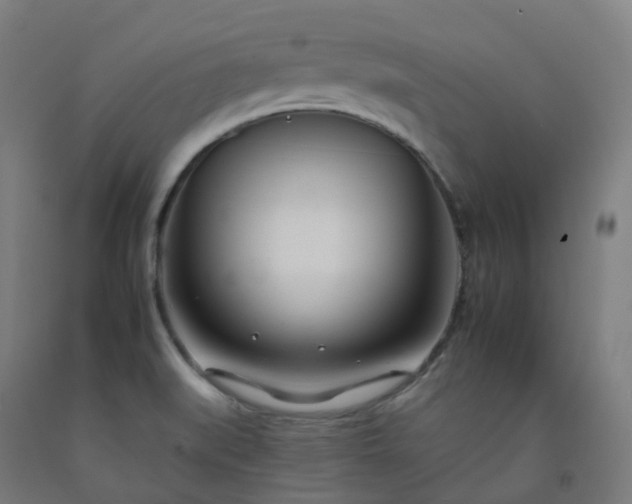 X0000092261519200709281154