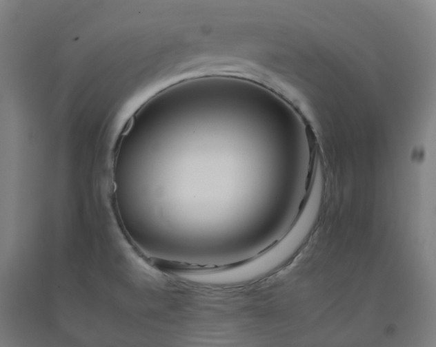 X0000092261520200709281154