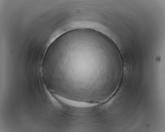 X0000092261521200709281154