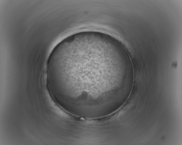 X0000092261522200709281154