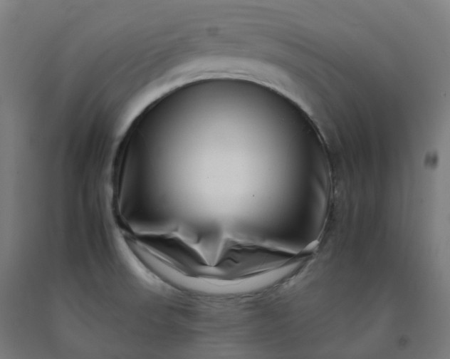 X0000092261523200709281154