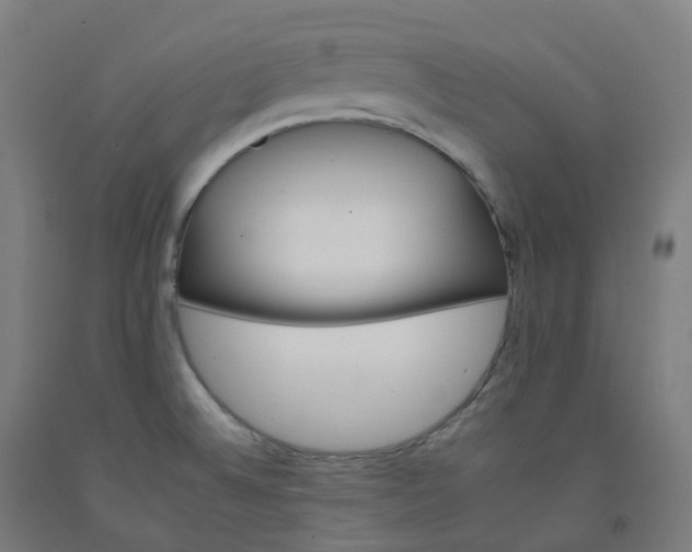 X0000092261524200709281154