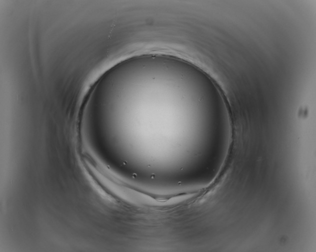 X0000092261525200709281154