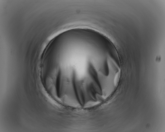 X0000092261526200709281154