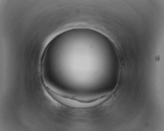 X0000092261527200709281154