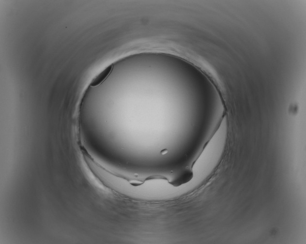 X0000092261528200709281154