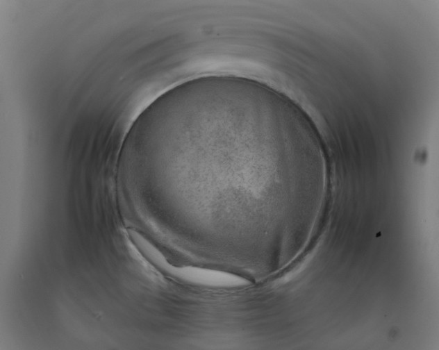 X0000092261529200709281154