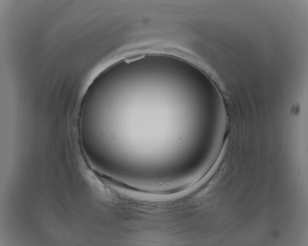 X0000092261530200709281154