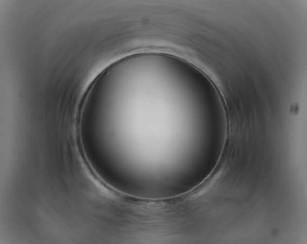 X0000092261533200709281154