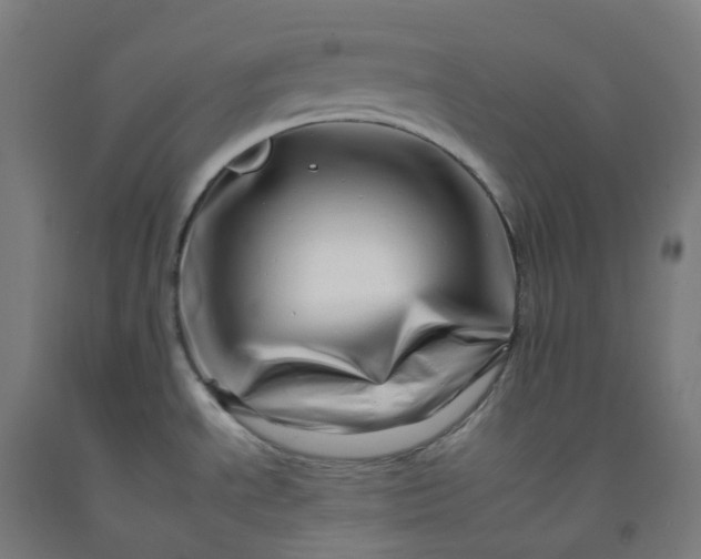 X0000092261534200709281154