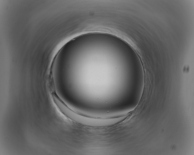 X0000092261536200709281154