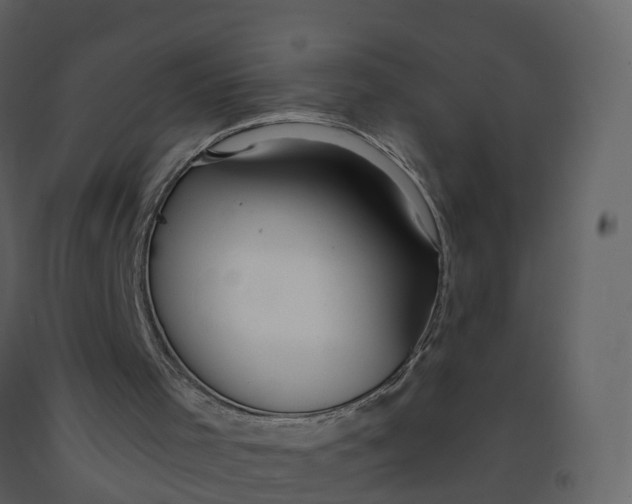 X0000092260001200710051328