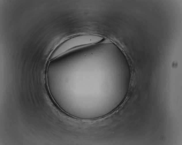 X0000092260002200710051328