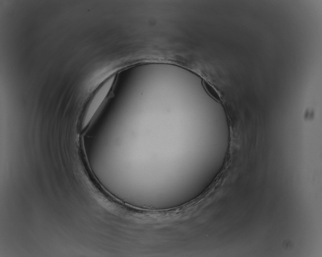 X0000092260005200710051328