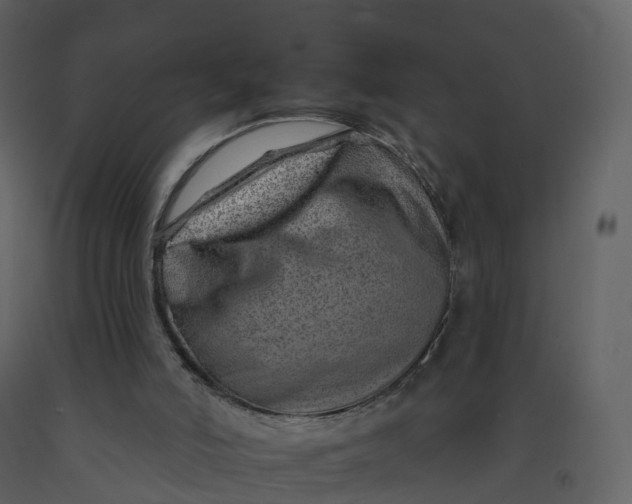 X0000092260006200710051328