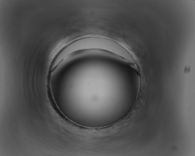 X0000092260007200710051328