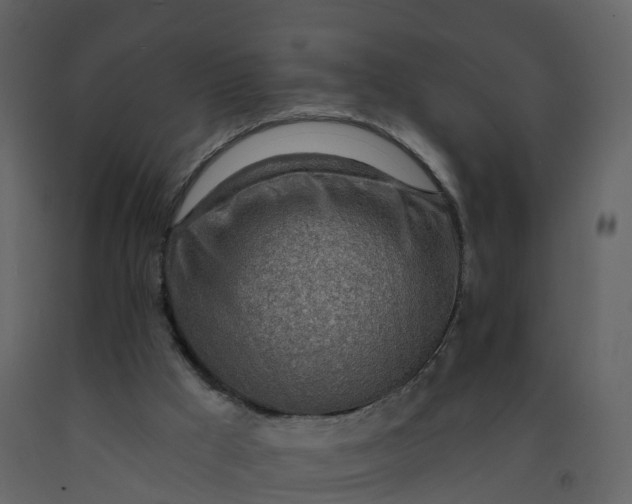 X0000092260009200710051328