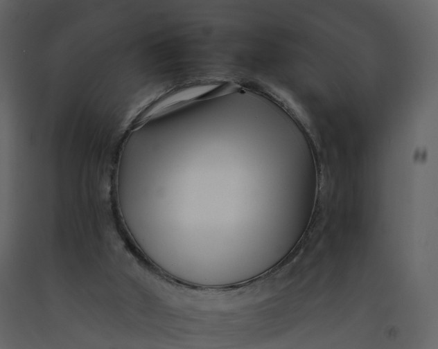 X0000092260010200710051328