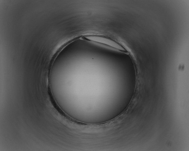 X0000092260011200710051328