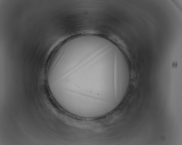 X0000092260012200710051328